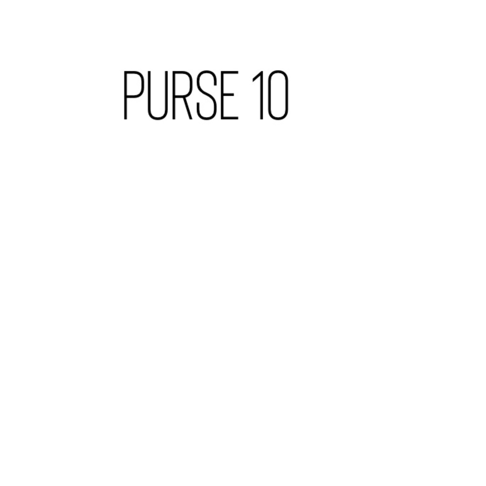 Purse 10